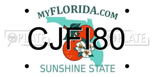 CJFI80 Florida License Plate