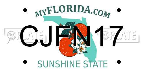 CJFN17 Florida License Plate