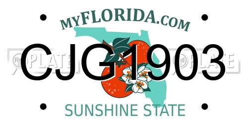 CJG1903 Florida License Plate