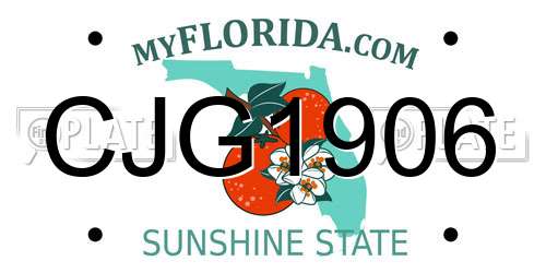 CJG1906 Florida License Plate