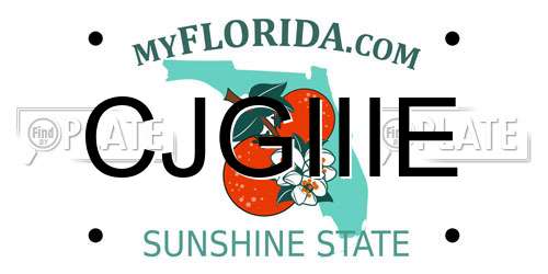 CJGIIIE Florida License Plate
