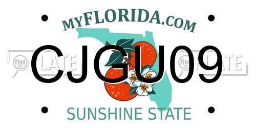 CJGU09 Florida License Plate