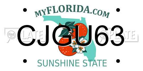 CJGU63 Florida License Plate