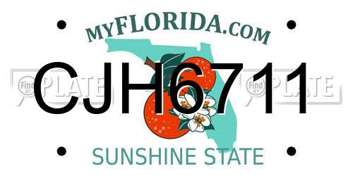 CJH6711 Florida License Plate