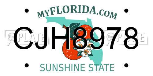 CJH8978 Florida License Plate