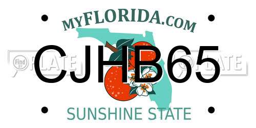 CJHB65 Florida License Plate