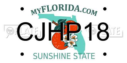 CJHP18 Florida License Plate