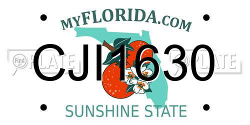 CJI1630 Florida License Plate