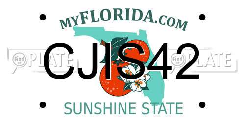 CJIS42 Florida License Plate