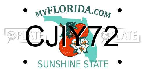 CJIY72 Florida License Plate