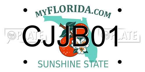 CJJB01 Florida License Plate