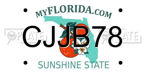 CJJB78 Florida License Plate