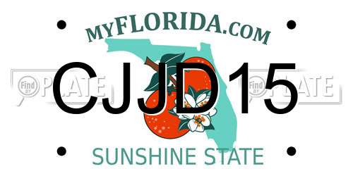 CJJD15 Florida License Plate