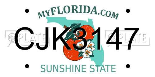 CJK3147 Florida License Plate