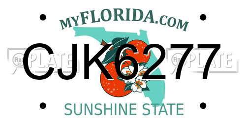 CJK6277 Florida License Plate