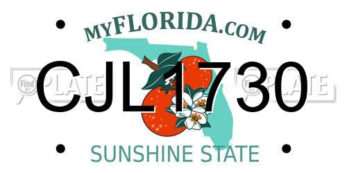 CJL1730 Florida License Plate