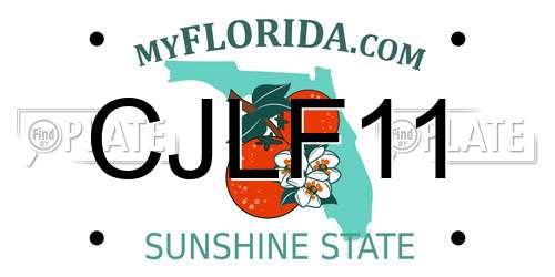 CJLF11 Florida License Plate
