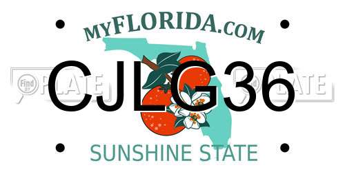 CJLG36 Florida License Plate