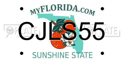 CJLS55 Florida License Plate