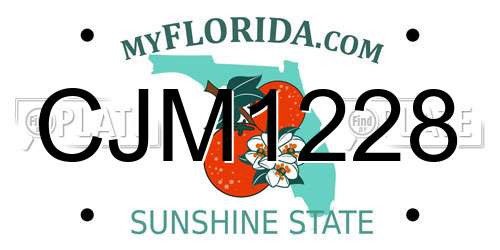 CJM1228 Florida License Plate
