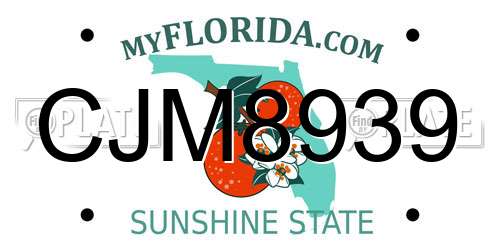 CJM8939 Florida License Plate