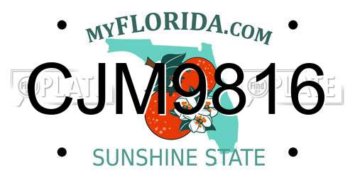 CJM9816 Florida License Plate