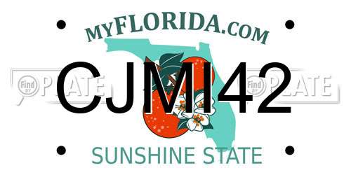 CJMI42 Florida License Plate