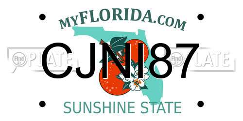 CJNI87 Florida License Plate