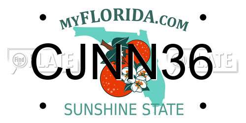 CJNN36 Florida License Plate