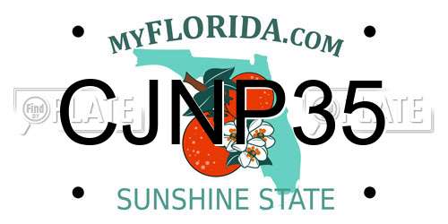 CJNP35 Florida License Plate