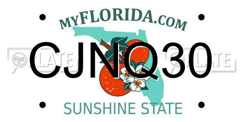 CJNQ30 Florida License Plate