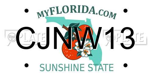 CJNW13 Florida License Plate