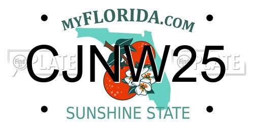 CJNW25 Florida License Plate