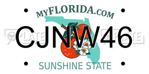 CJNW46 Florida License Plate