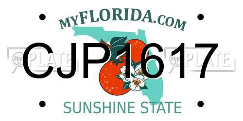 CJP1617 Florida License Plate