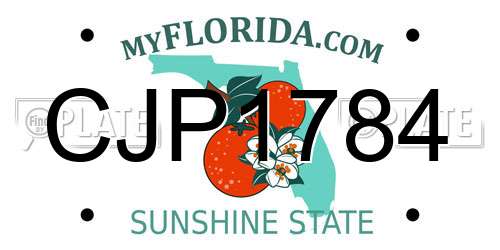 CJP1784 Florida License Plate