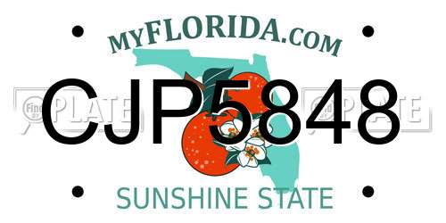 CJP5848 Florida License Plate