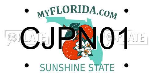 CJPN01 Florida License Plate