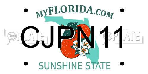 CJPN11 Florida License Plate