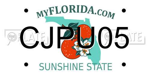 CJPU05 Florida License Plate