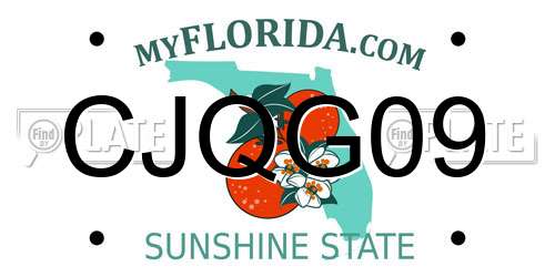 CJQG09 Florida License Plate