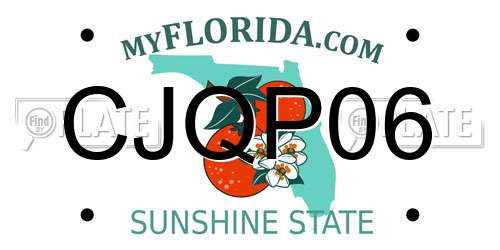 CJQP06 Florida License Plate