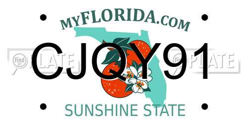CJQY91 Florida License Plate