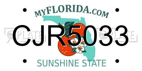 CJR5033 Florida License Plate