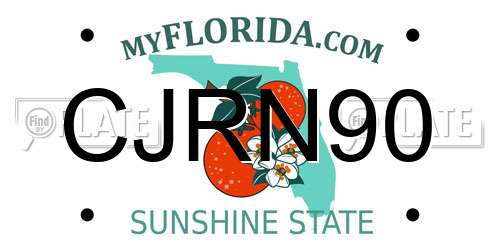 CJRN90 Florida License Plate