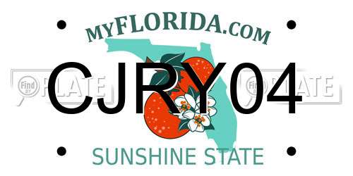 CJRY04 Florida License Plate