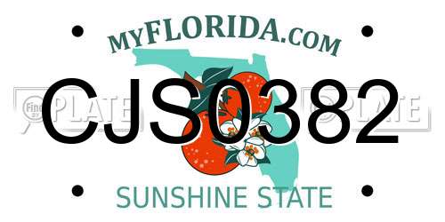 CJS0382 Florida License Plate