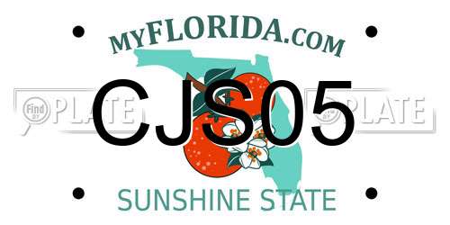 CJS05 Florida License Plate