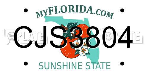 CJS3804 Florida License Plate