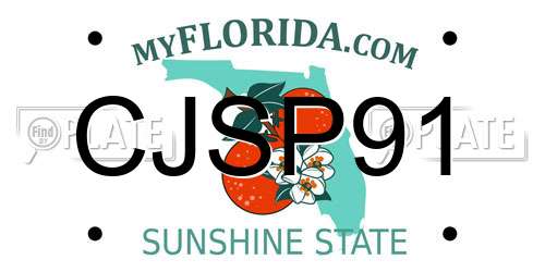 CJSP91 Florida License Plate